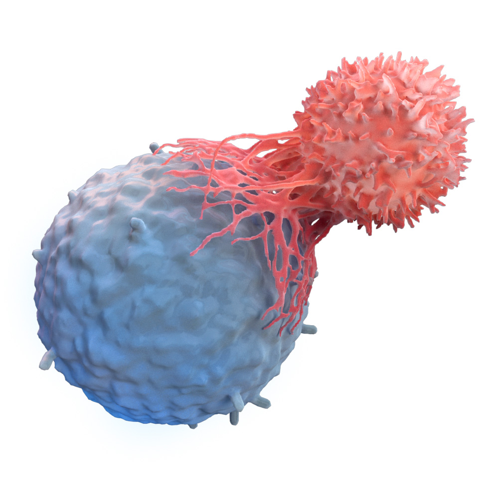 t-knife t-cell